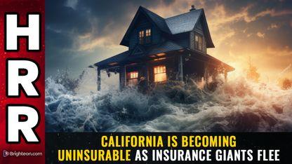 California is becoming UNINSURABLE as insurance giants FLEE