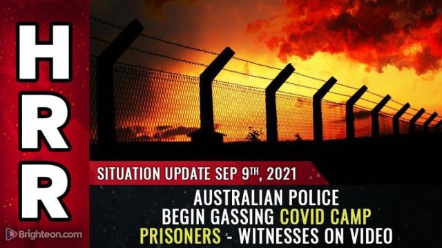 Australian police begin GASSING covid camp prisoners - WITNESSES on video