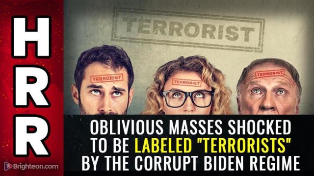 Oblivious masses SHOCKED to be labeled "terrorists" by the corrupt Biden regime