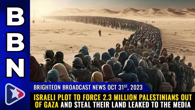 Israeli plot to force 2.3 million Palestinians out of GAZA and STEAL their land LEAKED to the media