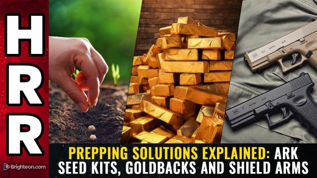 PREPPING SOLUTIONS EXPLAINED: Ark Seed Kits, Goldbacks and Shield Arms