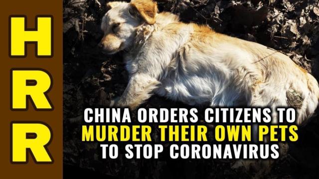 China orders citizens to MURDER their own pets to stop coronavirus