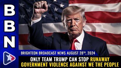 Only TEAM TRUMP can stop RUNAWAY GOVERNMENT VIOLENCE against We the People