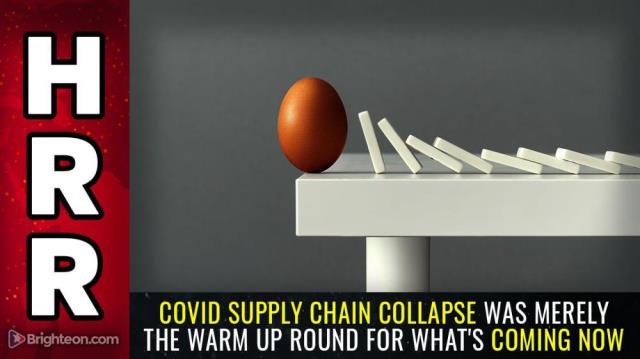 Covid supply chain collapse was merely the WARM UP ROUND for what's coming now