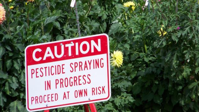 Illnesses from pesticide drift increase by 50% In just one state