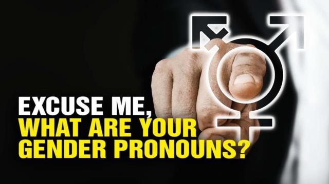 Excuse me, what are your GENDER pronouns?