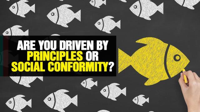 Are you driven by PRINCIPLES or SOCIAL CONFORMITY?