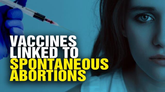 Vaccines cause 400% increase in spontaneous ABORTIONS