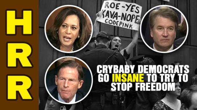 Crybaby Democrats go INSANE to try to stop FREEDOM