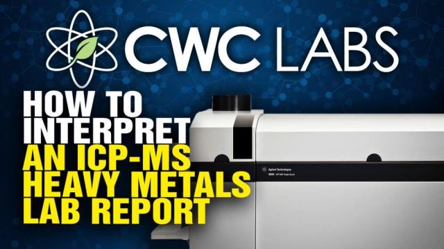 How to interpret an ICP-MS heavy metals lab report