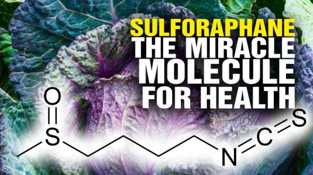 The miracle molecule SULFORAPHANE can protect your health