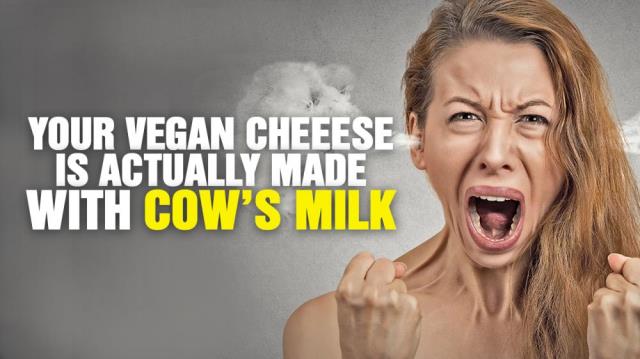 Your "VEGAN" cheese is made with cow's milk