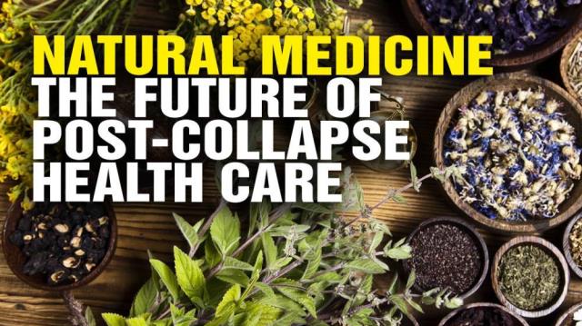 Why Natural Medicine will SURGE after the coming collapse