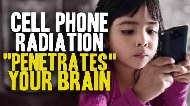 Cell phone radiation PENETRATES children's brains