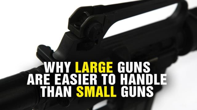 Why LARGE guns are easier to handle than SMALL guns