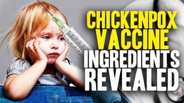 CDC releases chicken pox vaccine INGREDIENTS!