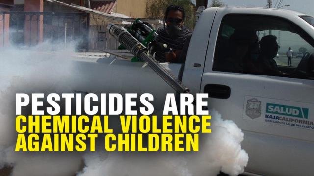 Pesticides are CHEMICAL VIOLENCE against CHILDREN