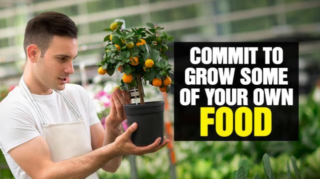 Commit to GROW at least a portion of your own FOOD