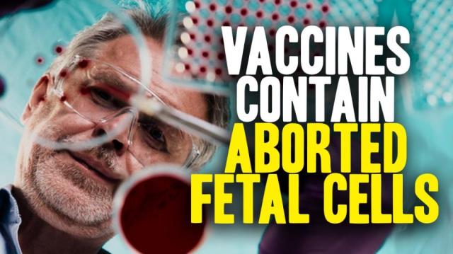 CDC admits VACCINES contain aborted human fetal cells