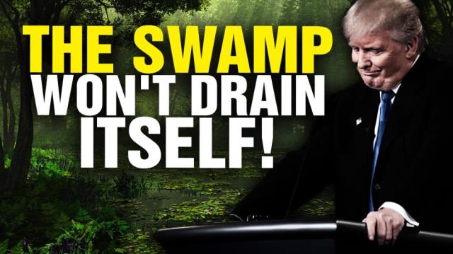 Hey Trump, the SWAMP will never drain itself!