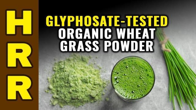 Glyphosate-tested ORGANIC Wheat Grass Powder!