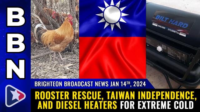 Rooster RESCUE, Taiwan independence, and diesel heaters for EXTREME COLD