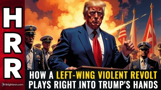 How a left-wing VIOLENT REVOLT plays right into Trump's hand