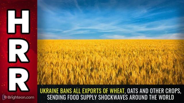 Ukraine BANS ALL EXPORTS of wheat, oats and other crops, sending food supply SHOCKWAVES around the world