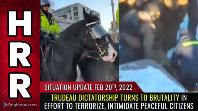 Emergency Update, Feb 20, 2022 - Trudeau dictatorship turns to BRUTALITY in effort to terrorize, intimidate peaceful citizens