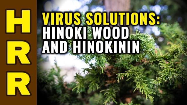 Virus solutions: Hinoki wood and Hinokinin