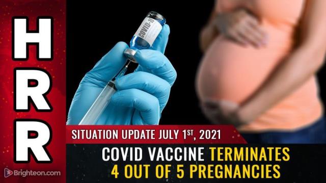 Covid vaccine TERMINATES 4 out of 5 pregnancies