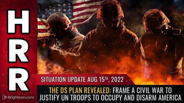 The DS plan revealed: Frame a civil war to justify UN troops to OCCUPY and DISARM America