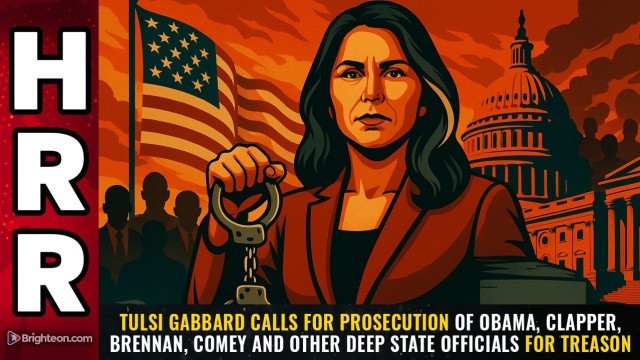 Tulsi Gabbard calls for PROSECUTION of Obama, Clapper, Brennan, Comey and other deep state officials for TREASON