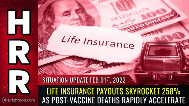 Life insurance payouts skyrocket 258% as post-vaccine deaths rapidly accelerate