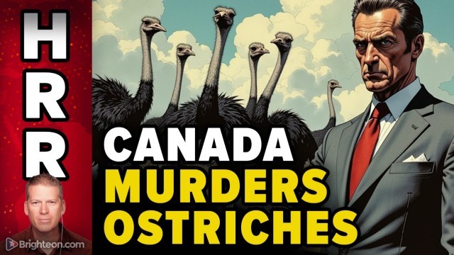 Canada MURDERS the OSTRICHES... and you're next