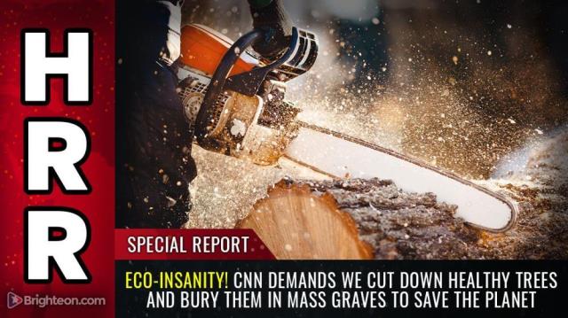 ECO-INSANITY! CNN demands we CUT DOWN healthy trees and bury them in mass graves to save the planet