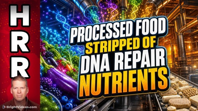 Processed Food is Deliberately STRIPPED of Nutrients that Repair Your DNA