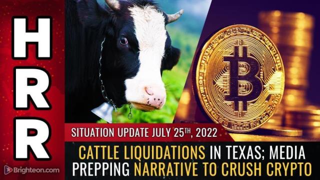 Cattle LIQUIDATIONS in Texas; media prepping narrative to CRUSH CRYPTO