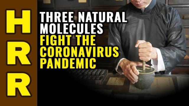 THREE natural molecules FIGHT the coronavirus pandemic