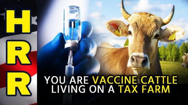 You are VACCINE CATTLE living on a TAX FARM