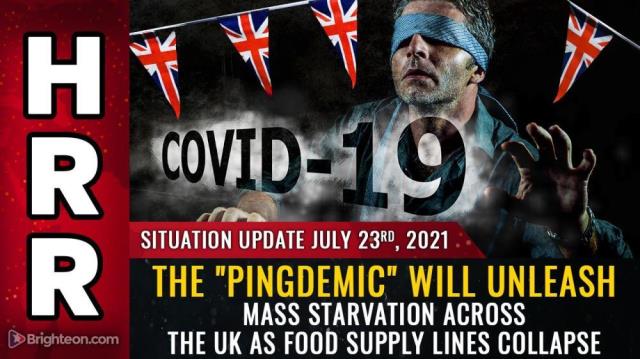 The "PINGDEMIC" will unleash mass starvation across the UK as food supply lines collapse